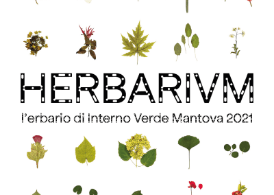 Herbarium / Mantova