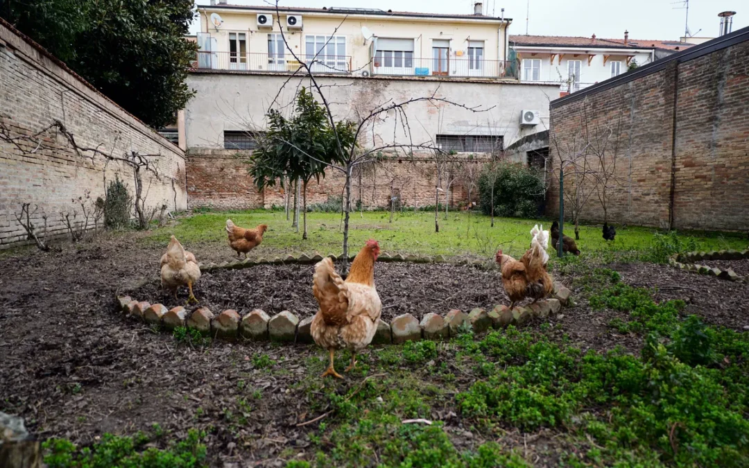 Convento di San Francesco