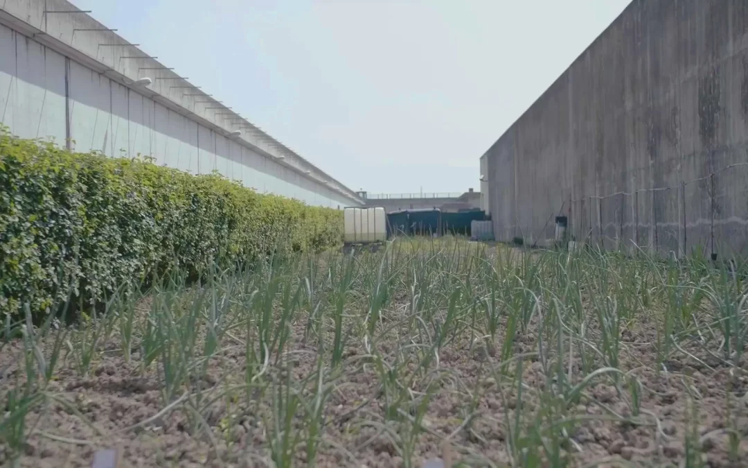 Casa Circondariale – Galeorto