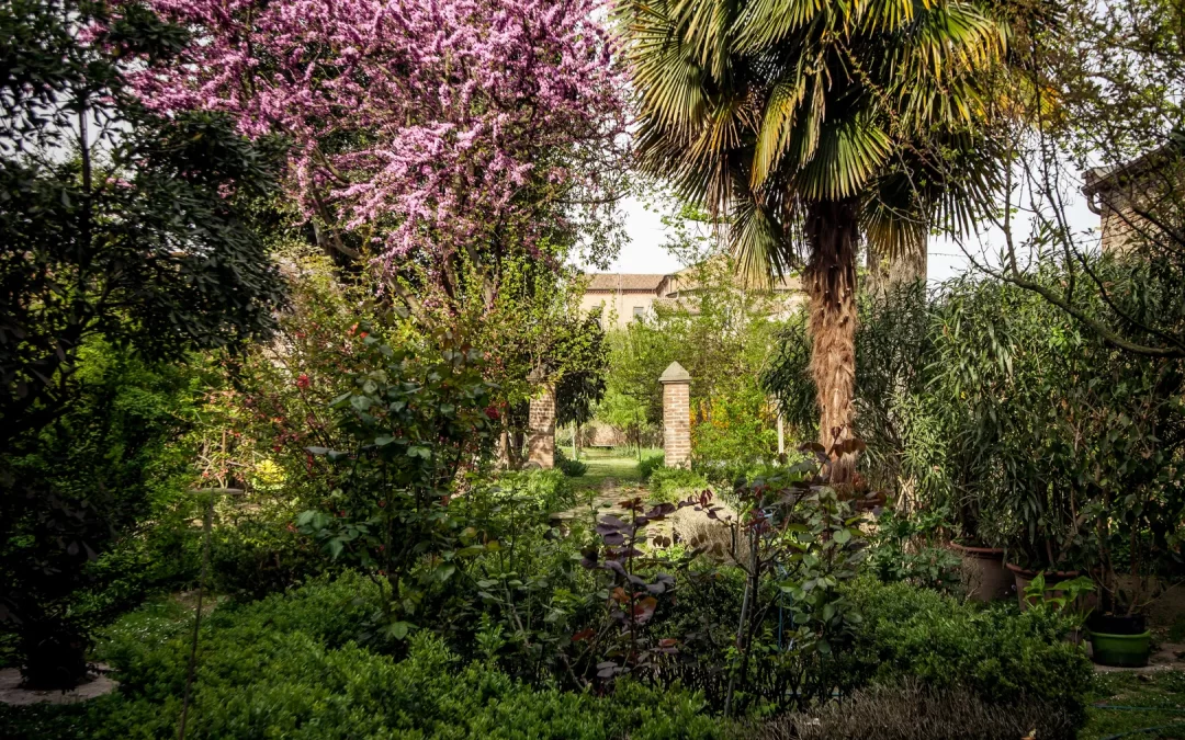 Frutta, Bosso e Verdura