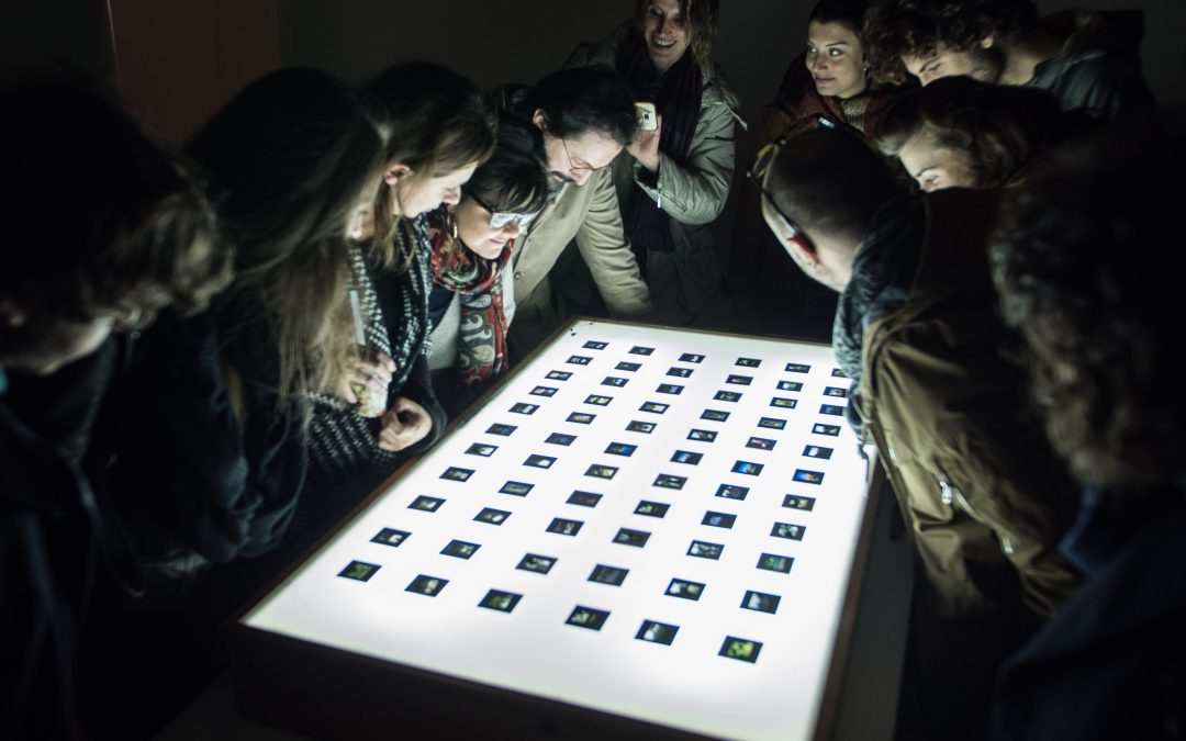 Giardini trasparenti