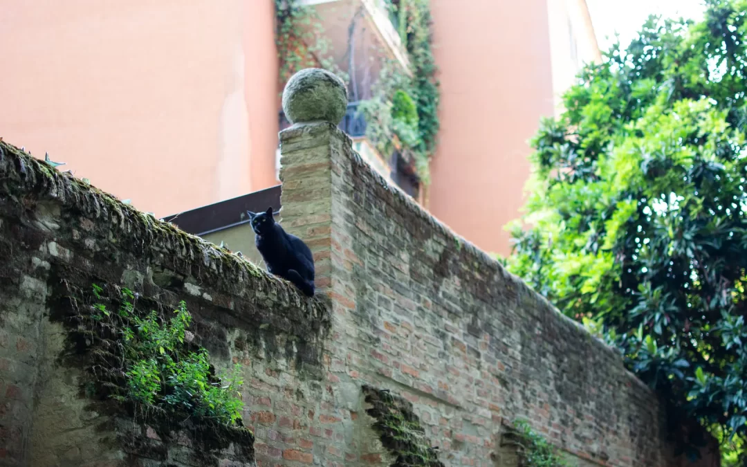 Palazzo Spisani – Lemokò