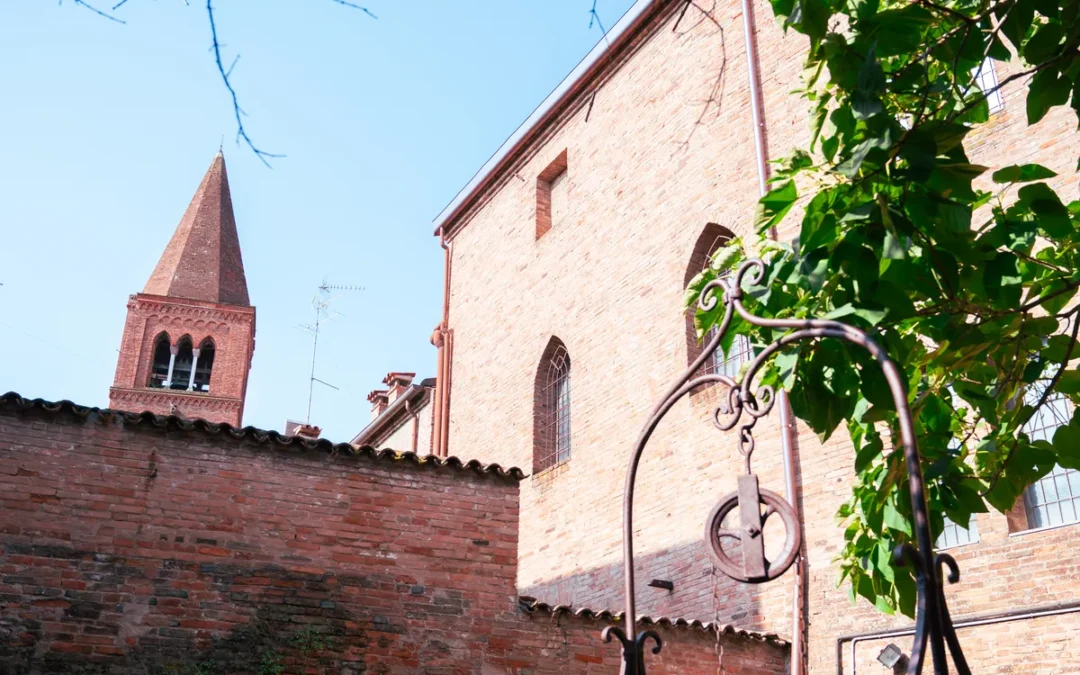 Stella dell’Assassino