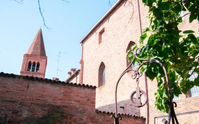 Stella dell’Assassino