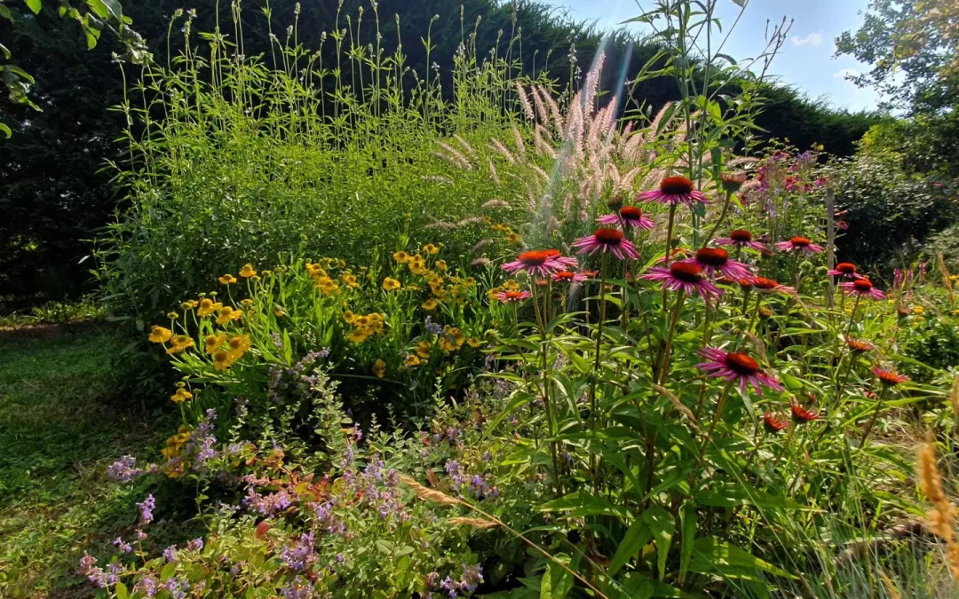 Fienile di Borgo Tricò