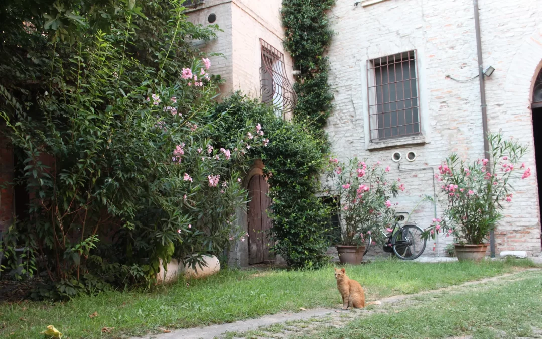 Da San Giorgio alla passiflora