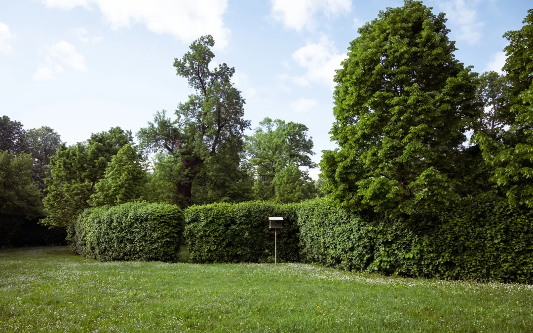 Serre del Parco Ducale