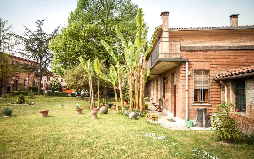 Cocci aguzzi di bottiglia