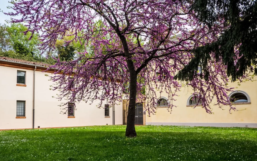 Palazzo Guarini Giordani