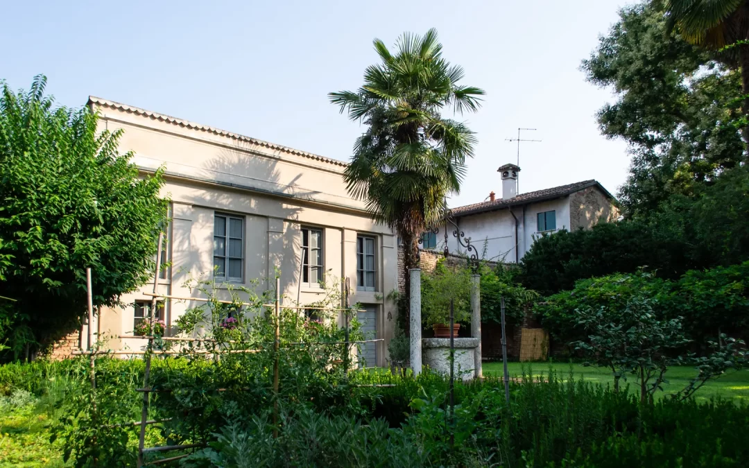 Camaleonti e souvenir