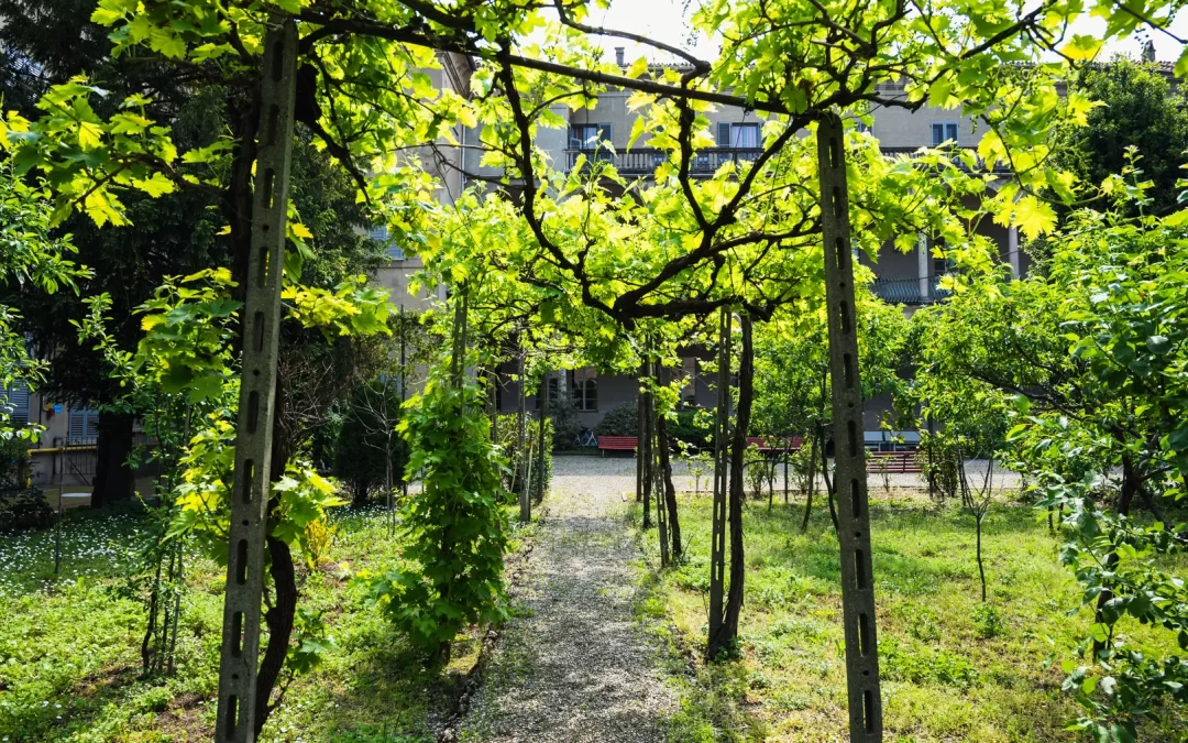 Istituto delle Orsoline