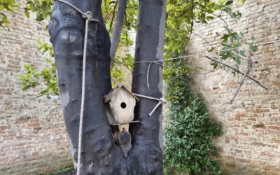 Convento di Sant’Eufemia