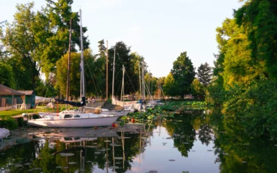 Società Canottieri Mincio