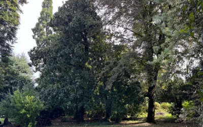 Palazzo Festa Marzotto