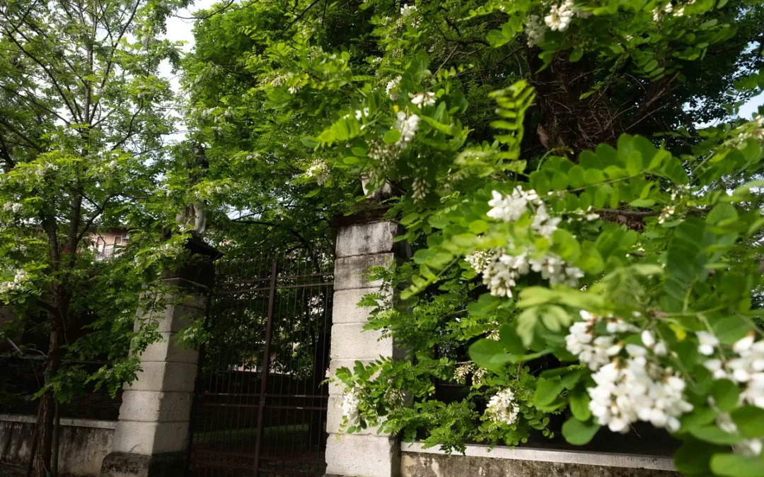 Palazzo Giustiniani Baggio