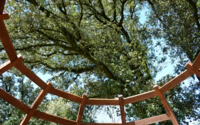 Bosco di Villa Valmarana