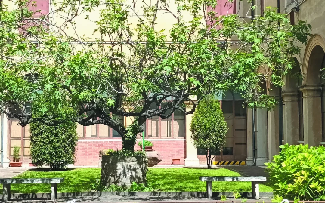 Museo di Storia Naturale