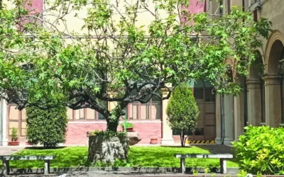 Museo di Storia Naturale