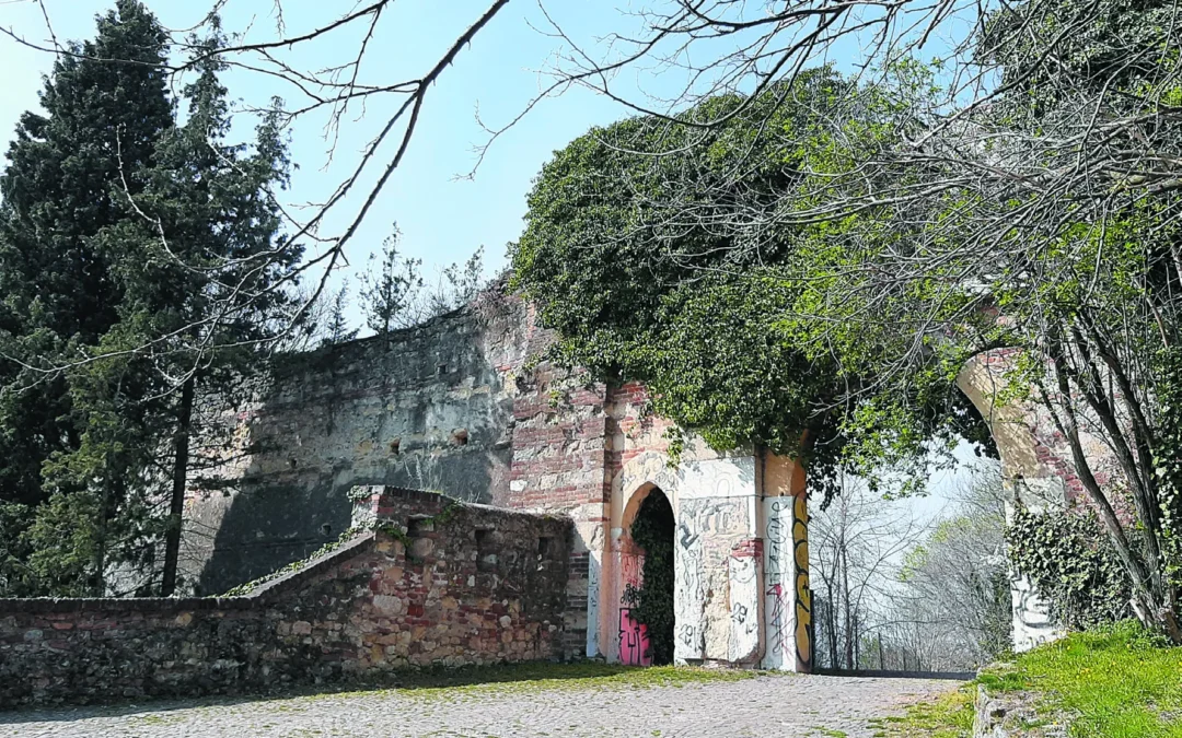 Castello / Parco Visconteo