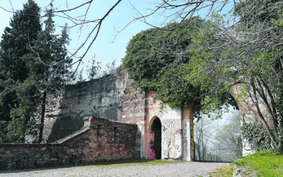 Castello / Parco Visconteo