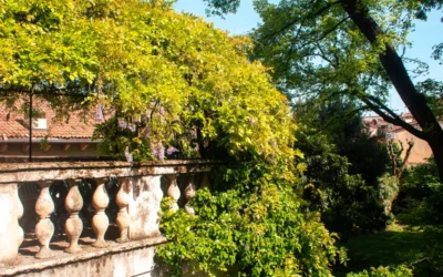 Palazzo Ederle Della Torre