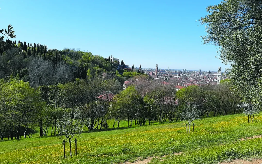 Parco delle Colombare