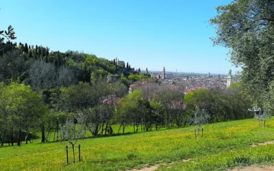 Parco delle Colombare