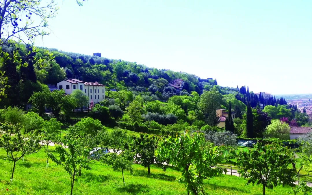 Istituto Figlie di Gesù