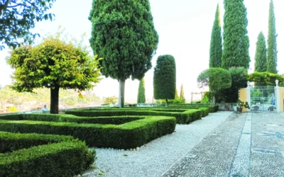 Reginetta della Valdonega