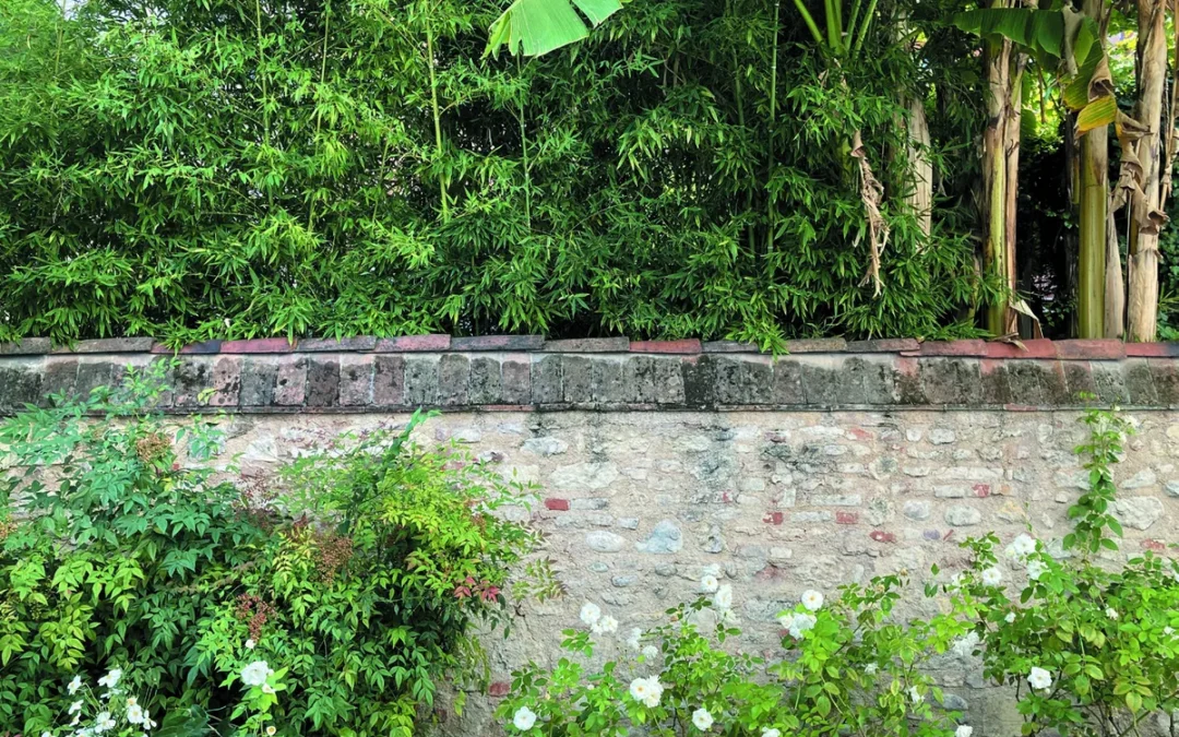 Palazzo Bonomi da Monte