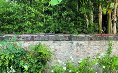 Palazzo Bonomi da Monte