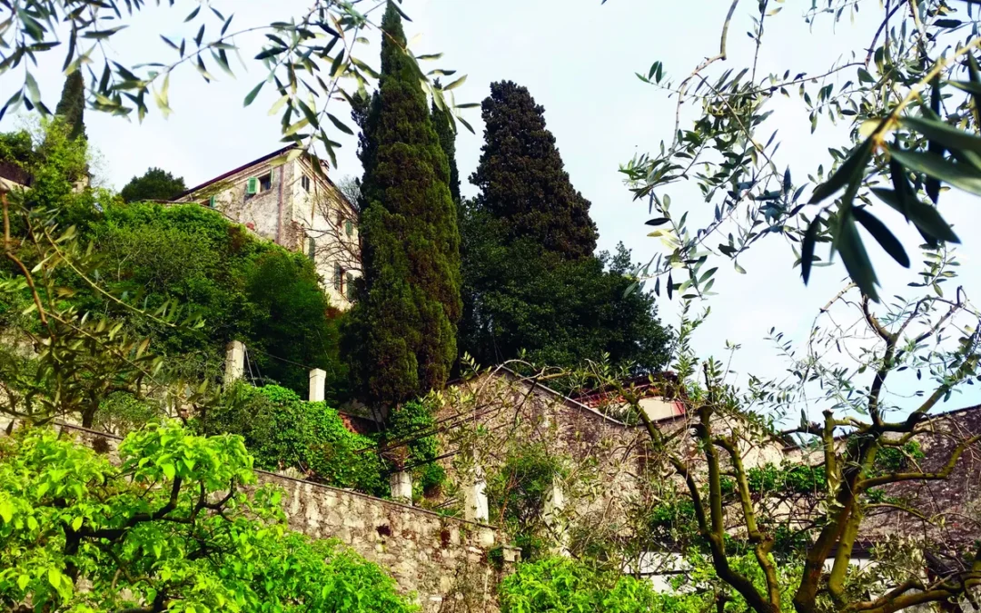 Istituto Campostrini