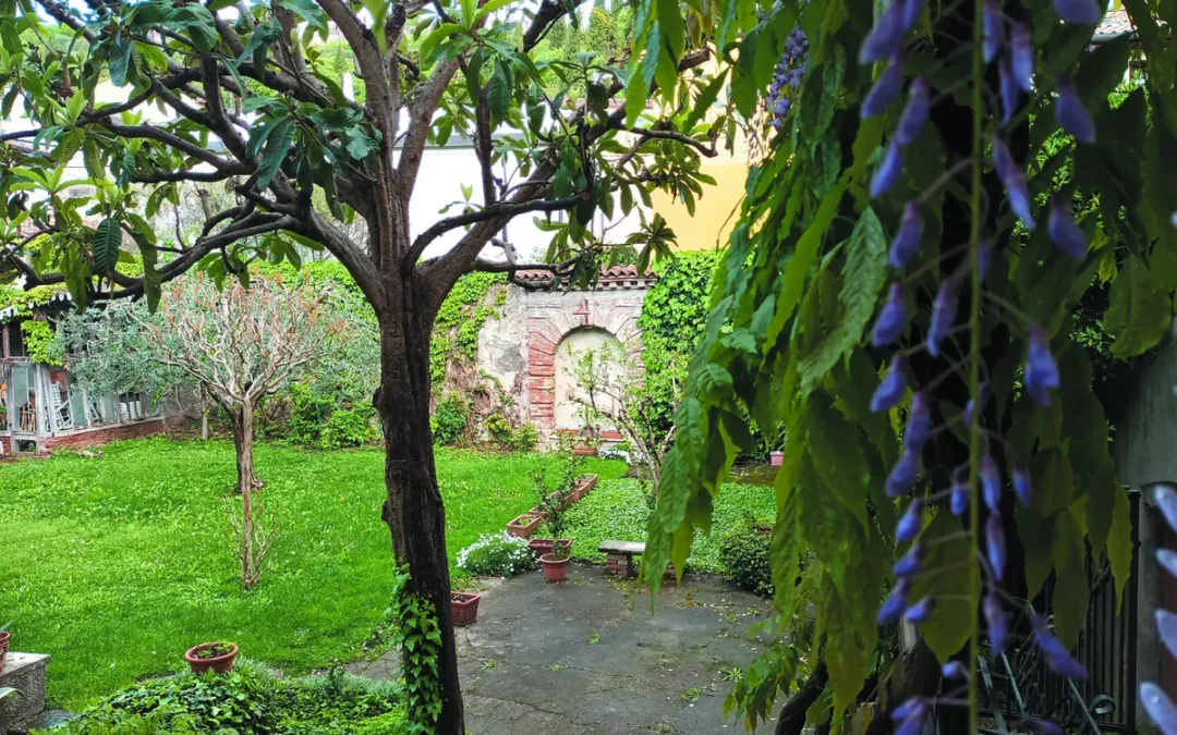 Giardino del glicine