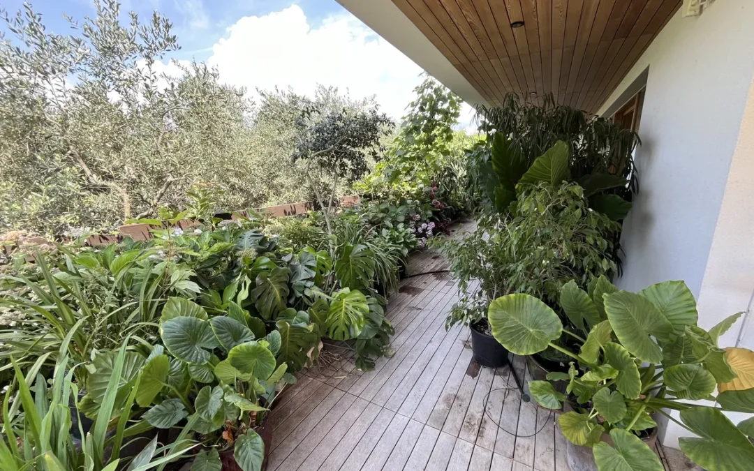 Confraternita dei giardinieri