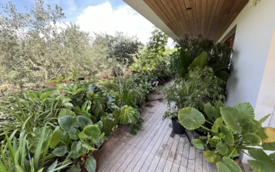 Confraternita dei giardinieri