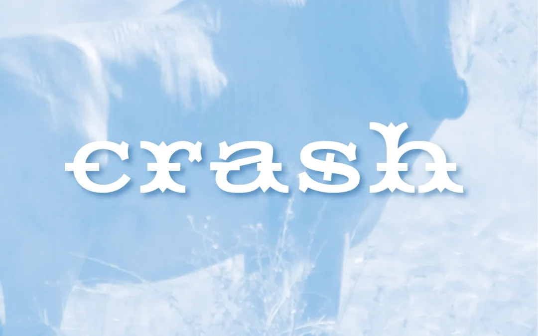 Crash