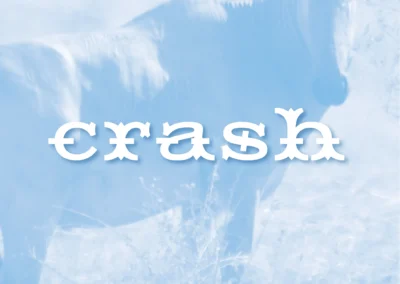 Crash