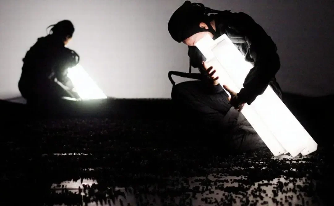 Interno Verde Danza 2025