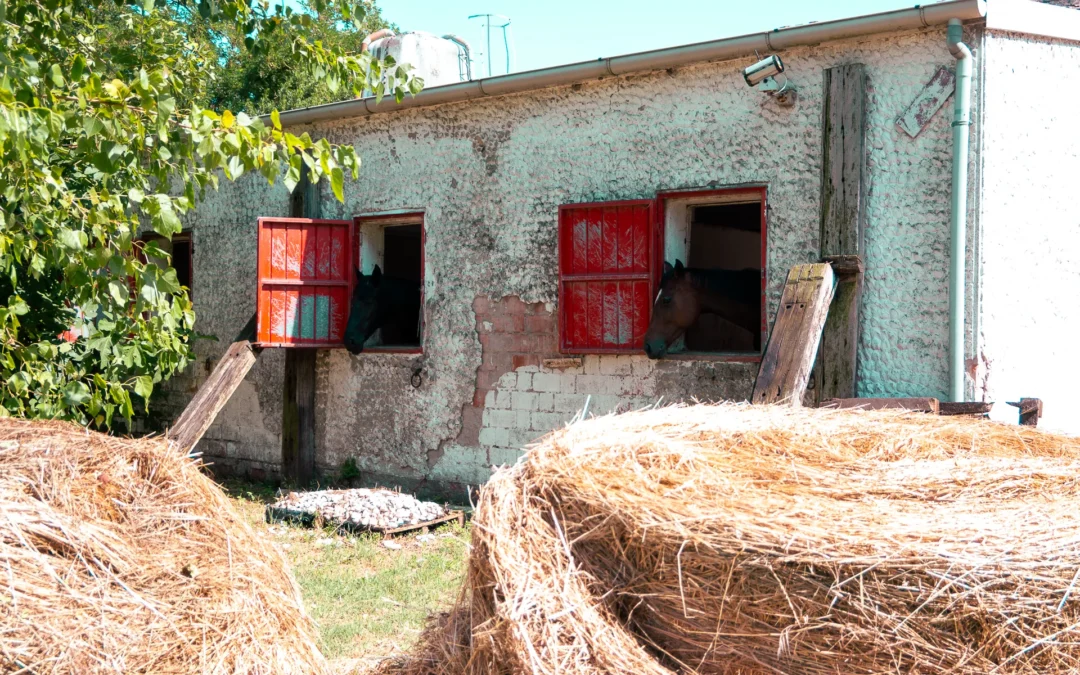 Centro Ippico Baldovino