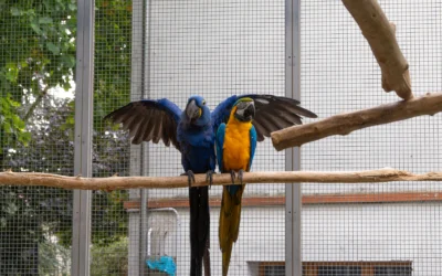 L’allevamento del Po