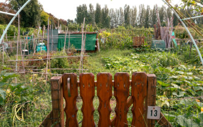 Orti sociali di via Canapa