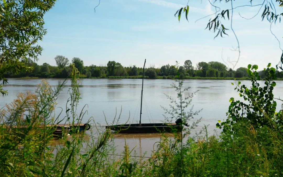 Lucciole nella nebbia