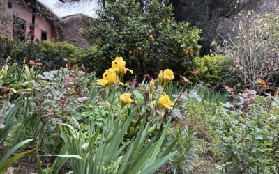 Casona de Ignacio Domeyko