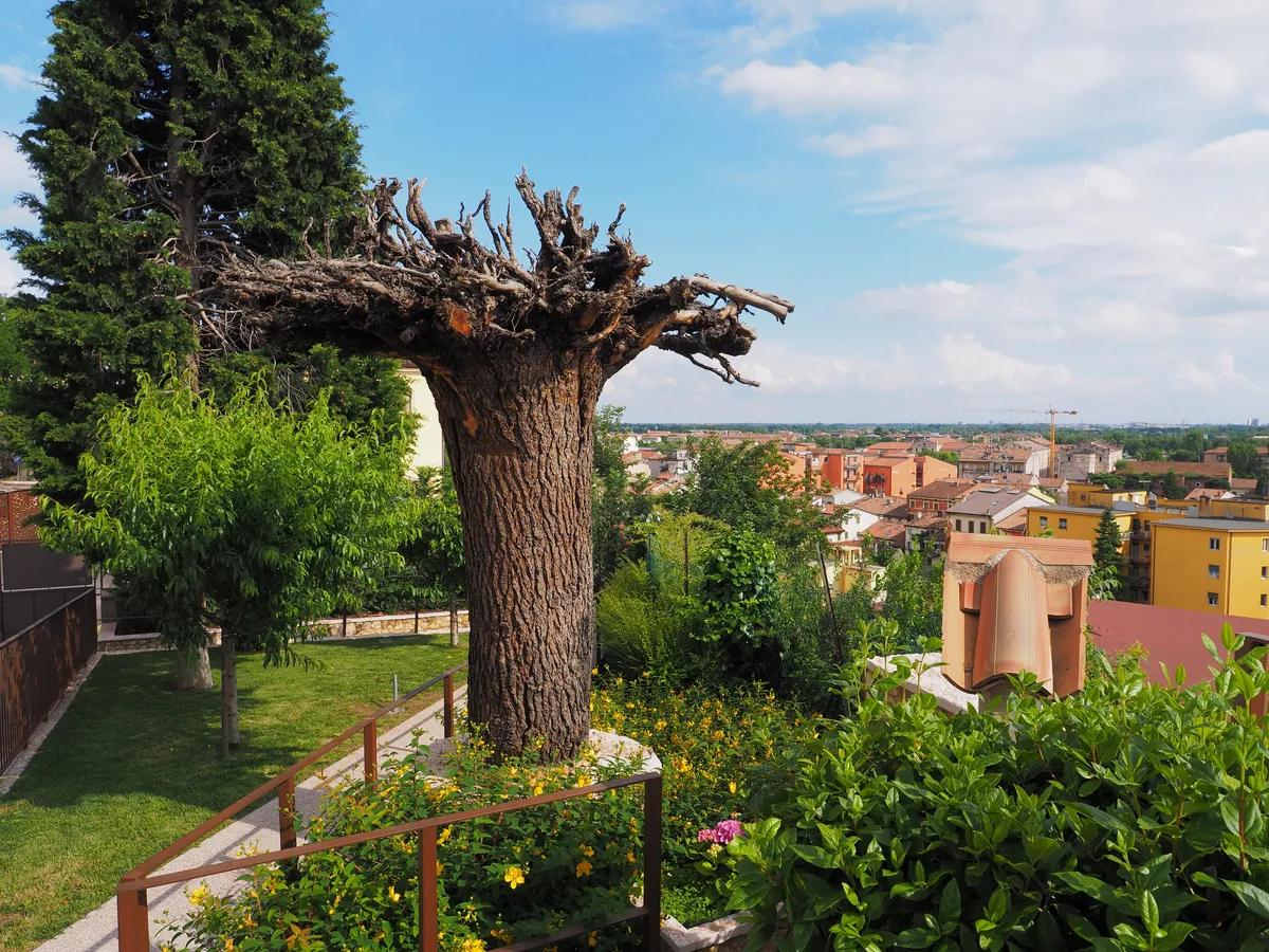 Alto San Nazaro 6