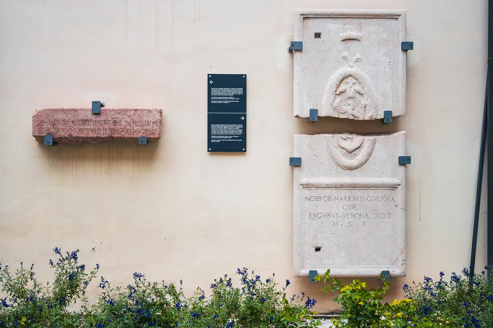 Via Cappello 43 - Biblioteca Civica-3