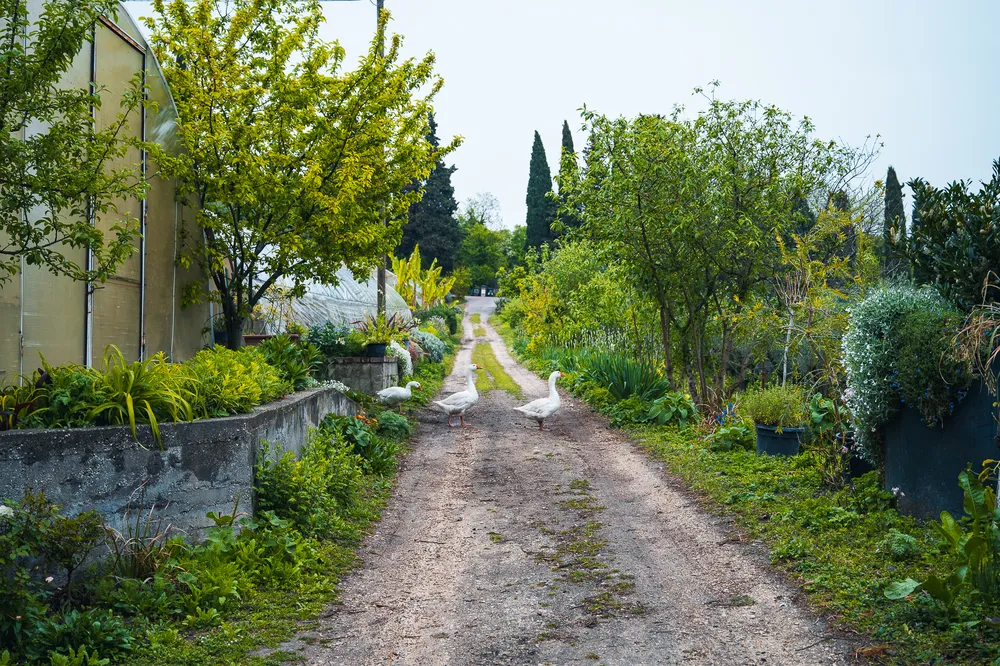 Via Caroto 5- Casa San Giuseppe-8