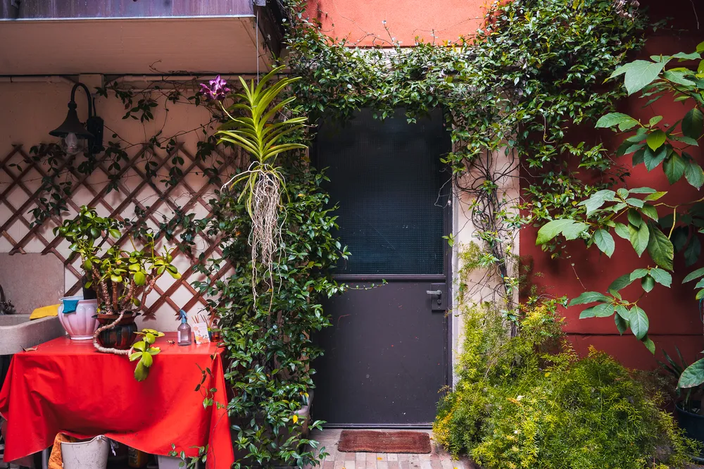Via Dietro Filippini 20 - Patio del ligustro-12