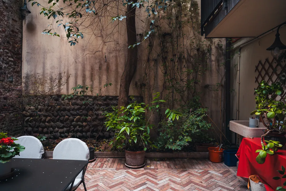 Via Dietro Filippini 20 - Patio del ligustro-3