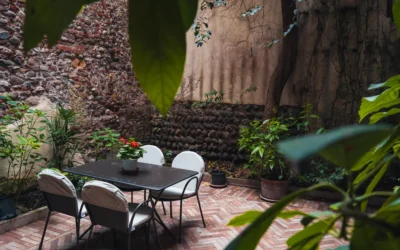 Patio del Ligustro
