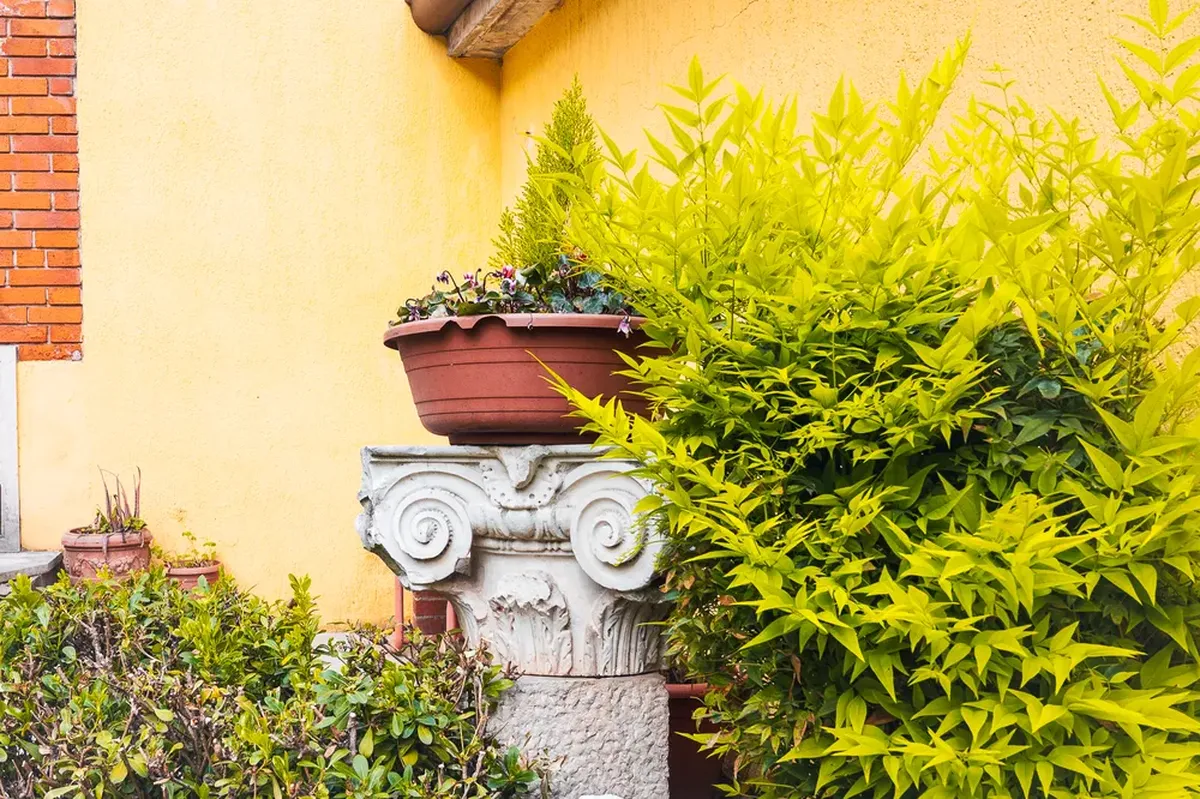 Via Filippini 16 - Giardino del Catechismo-10_risultato